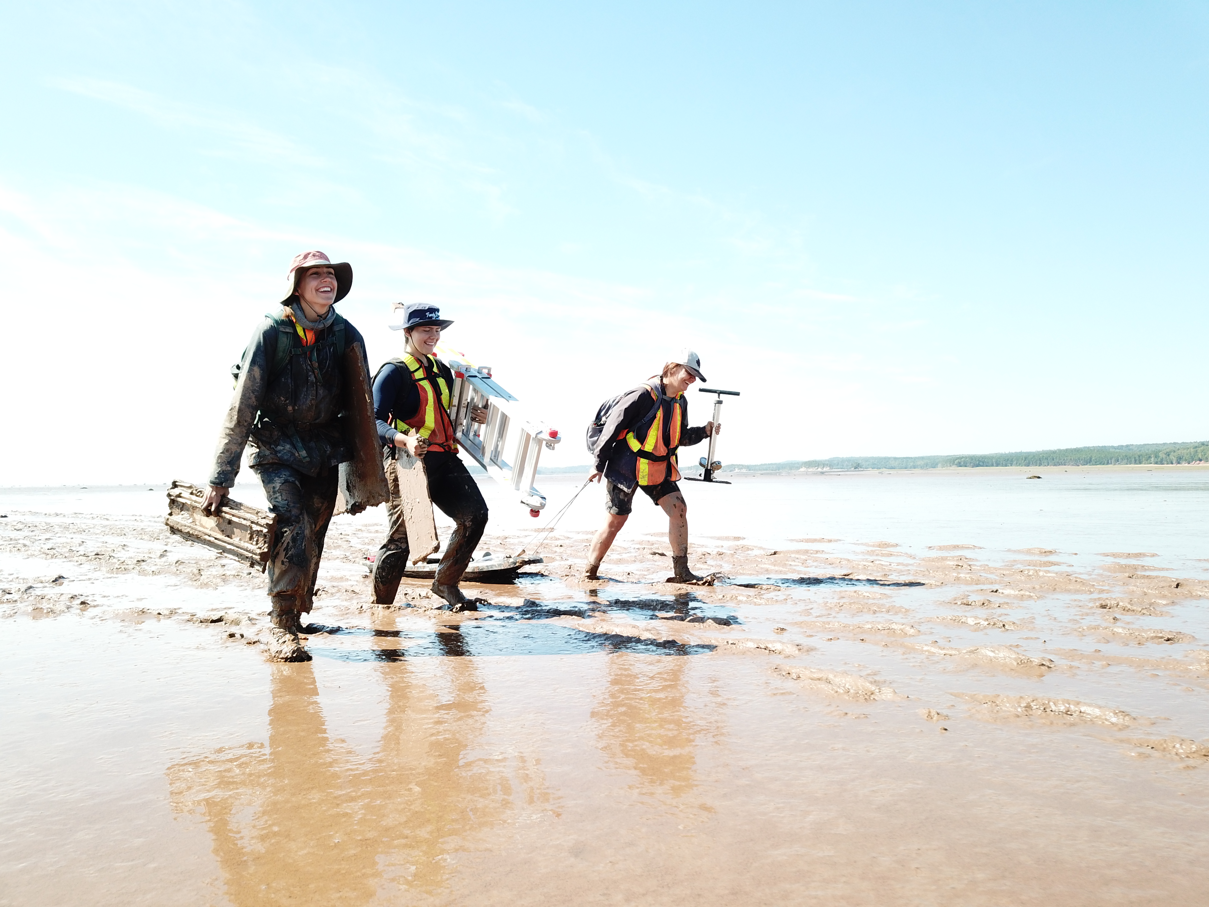 Field-tested sediment and trace-fossil analysis, bridging academic research and practical answers for industry, government, and university partners.